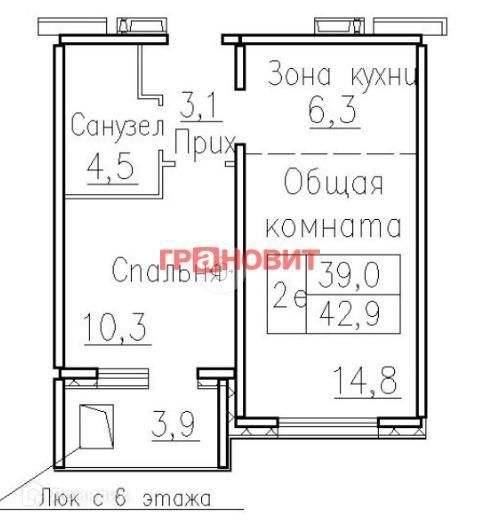 квартира р-н Новосибирский п Элитный ул Венская 12 Мичуринский сельсовет фото 10