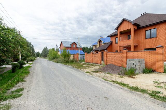 Тюмень городской округ, Три сосны фото