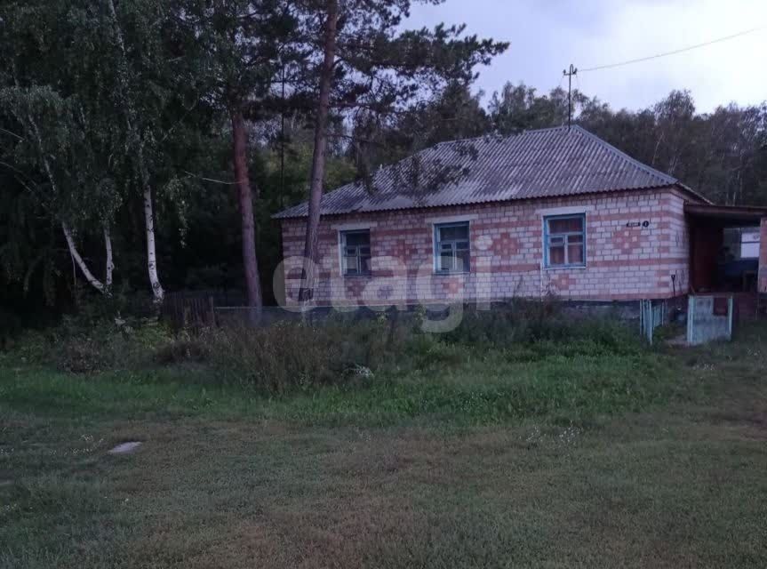 дом р-н Благовещенский с Алексеевка ул Лесная фото 1