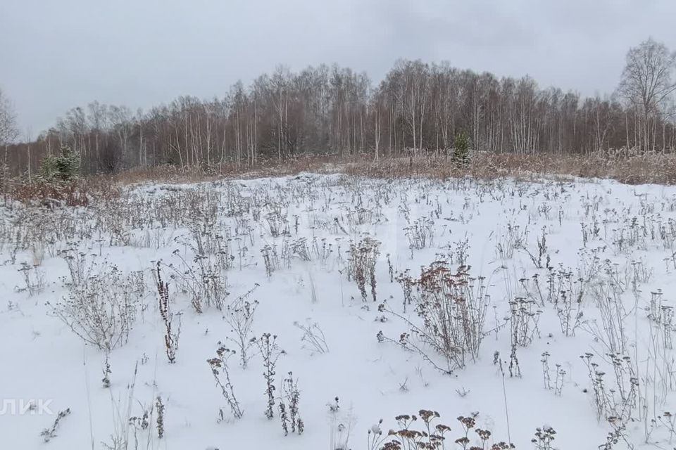 земля г Златоуст Златоустовский городской округ, Машзавод фото 1