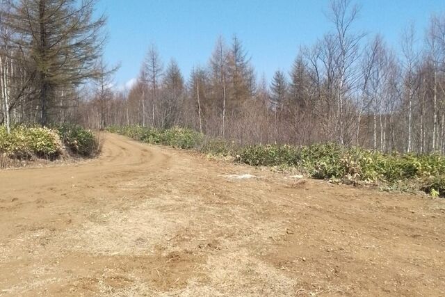 Южно-Сахалинск городской округ, СНТ Росток фото