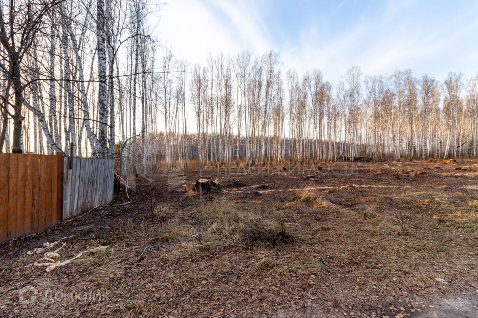 земля р-н Тюменский фото 1