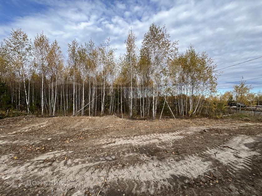 земля р-н Тюменский с Кулига Коттеджный поселок «Заповедный» фото 1