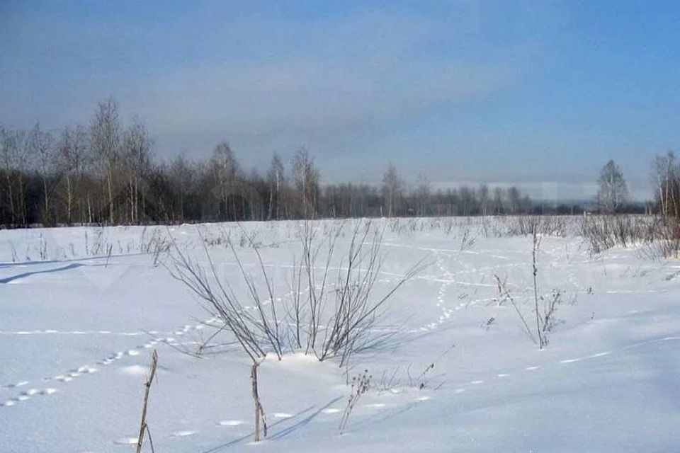 земля р-н Завьяловский деревня Динтем Бодья фото 1