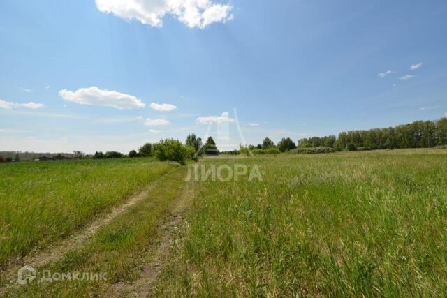 тракт Пушкинский городской округ Омск фото