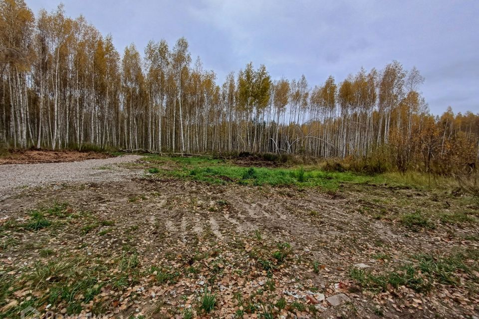 земля р-н Кстовский г Кстово Товарищество индивидуальных застройщиков Медик фото 1