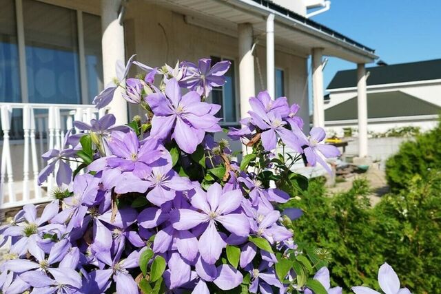 г Рыбное ул им Дарьи Гармаш 16 Рыбновское городское поселение фото