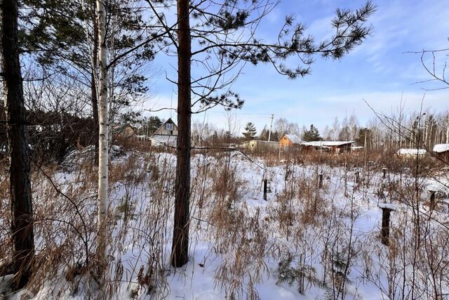 р-н Верх-Исетский Екатеринбург городской округ, СТ Мечта фото