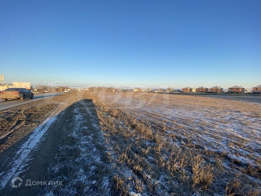 земля р-н Тюменский с. Луговое фото 3