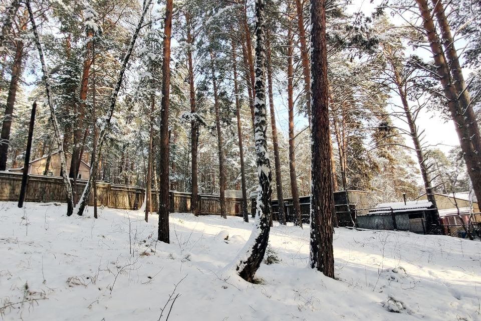 земля Красноярск городской округ, ДНП Южное, Лесная улица, 423з фото 3