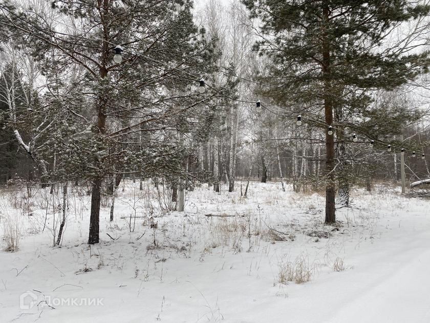 земля р-н Тюменский д Кыштырла Габдуллы Тукая, 9 фото 3