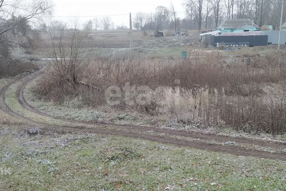 дом р-н Задонский с Гнилуша ул Ленинградская 42 Гнилушинский сельсовет фото 4