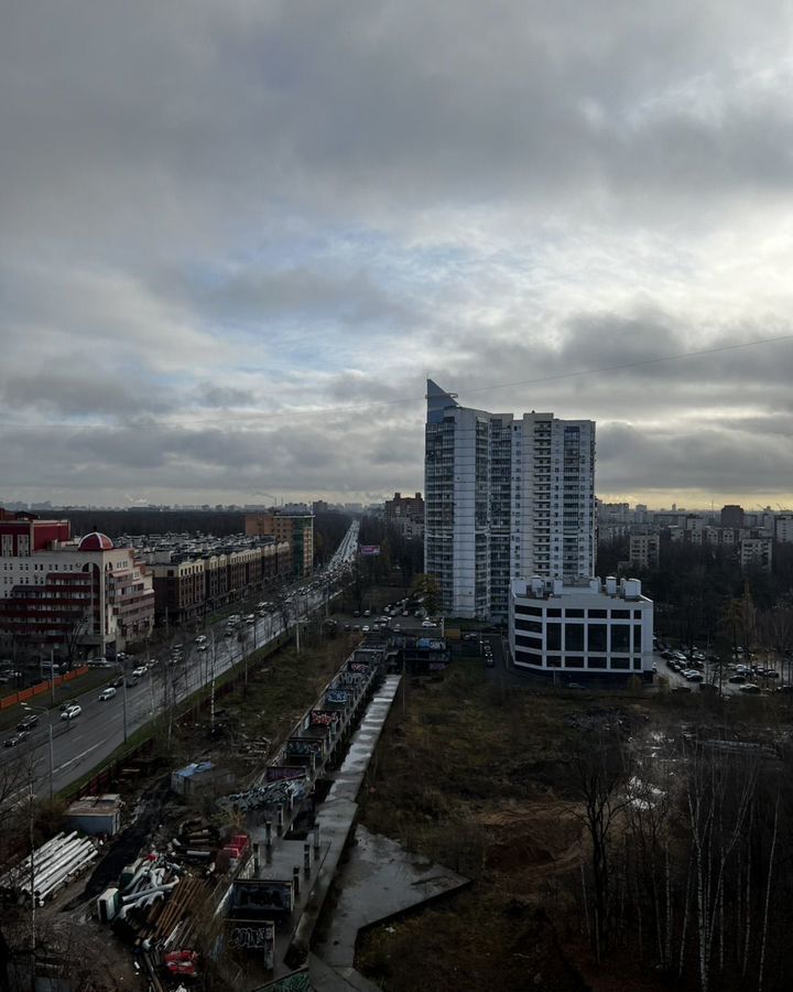 квартира г Санкт-Петербург метро Удельная пр-кт Энгельса 93 округ Светлановское фото 14