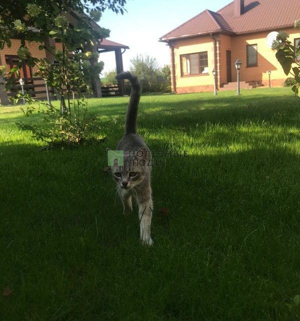 дом р-н Белгородский с Таврово Рассветная улица фото 7