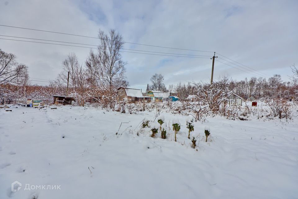 земля р-н Хабаровский с Заозерное СТ Калинка фото 9