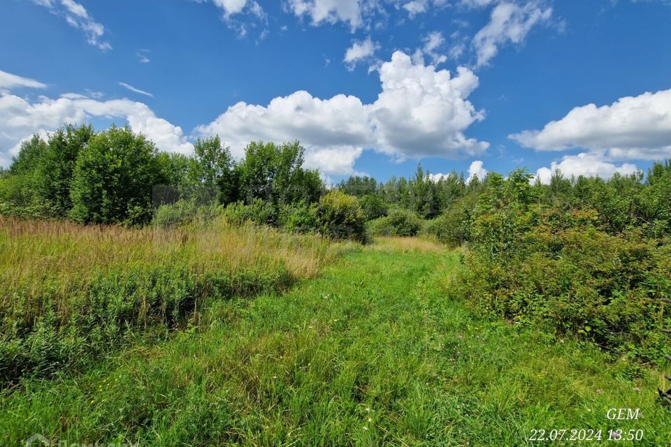 земля г Великий Новгород Великий Новгород городской округ, Волховский фото 10