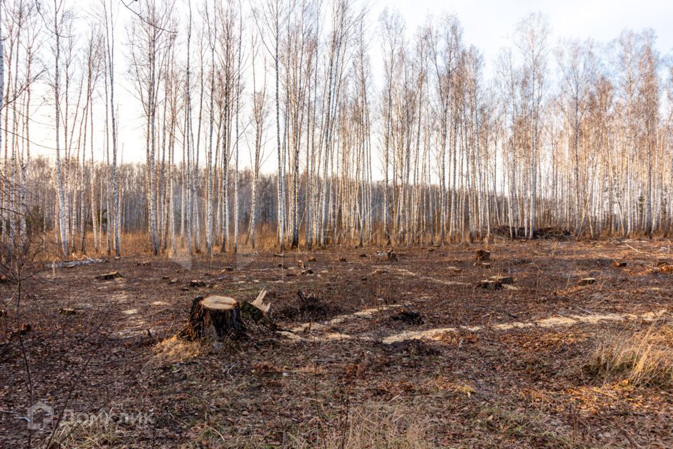 земля р-н Тюменский фото 7