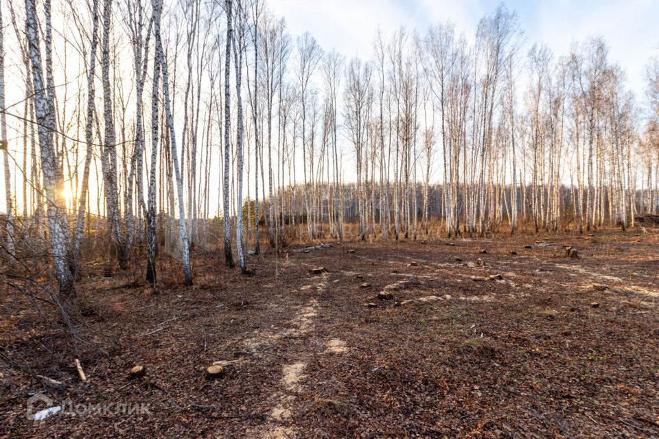 земля р-н Тюменский фото 10