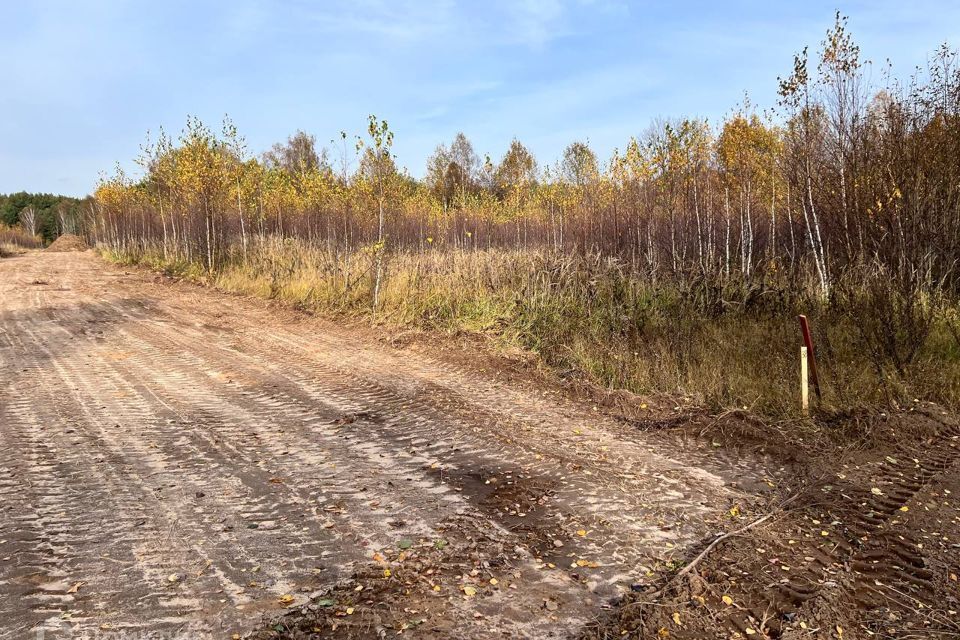 земля р-н Александровский д Малое Маринкино ул Березовая 36 фото 6