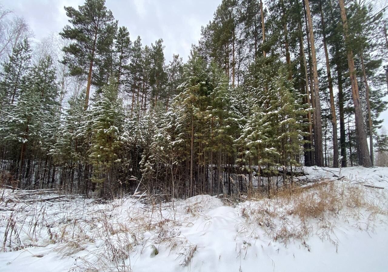 земля р-н Нижнетавдинский с Тюнево Тюмень фото 3