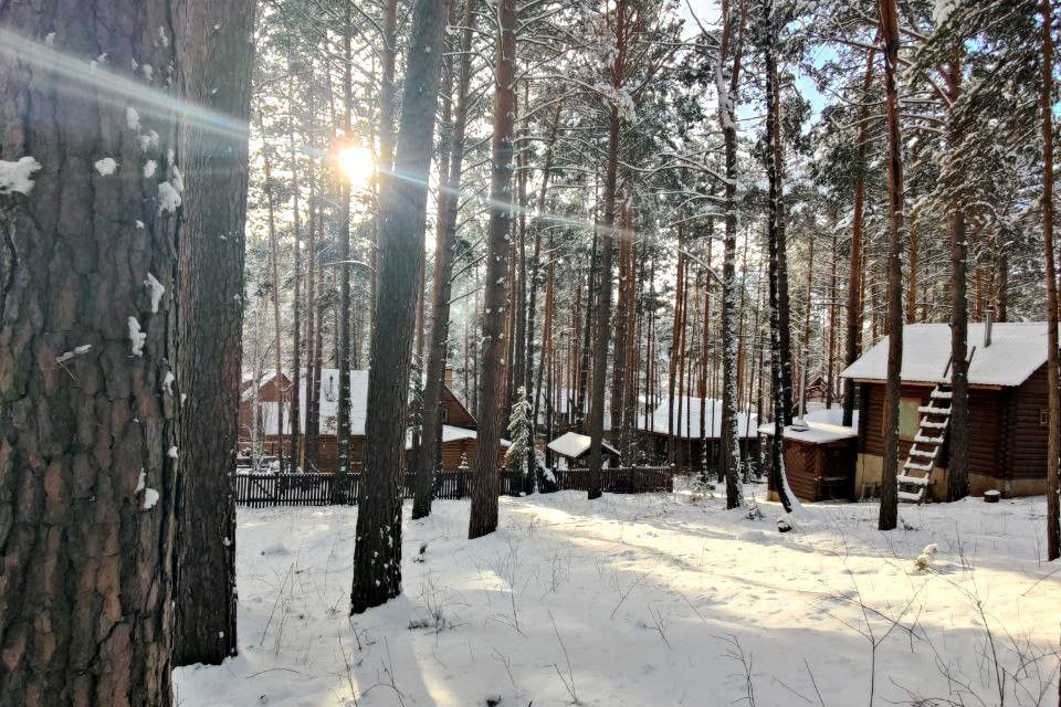 земля Красноярск городской округ, ДНП Южное, Лесная улица, 423з фото 6