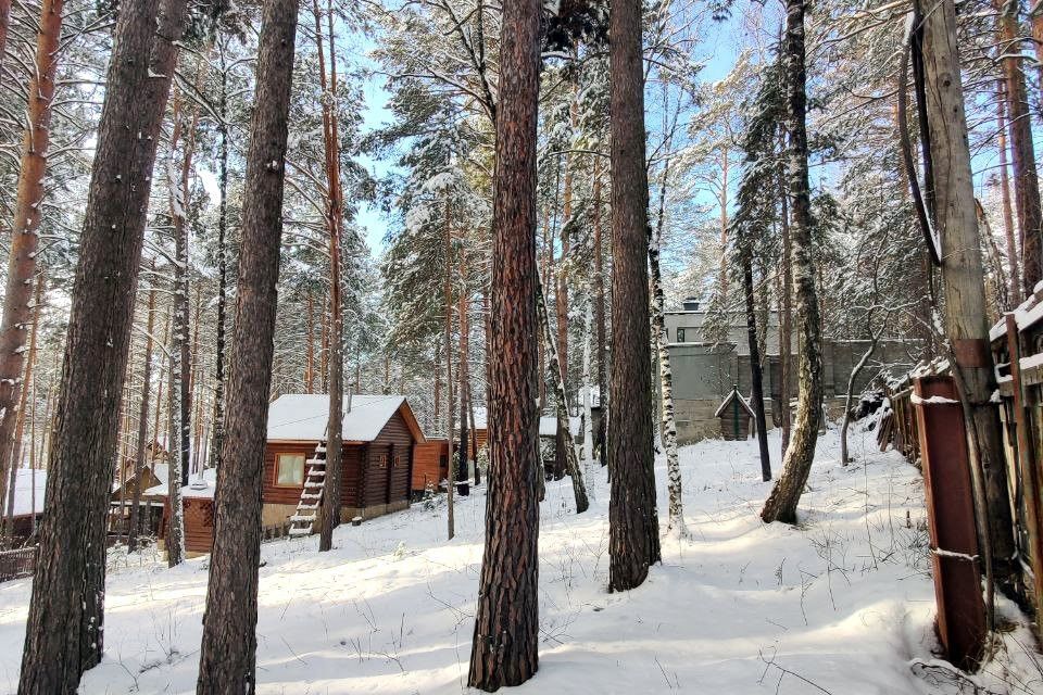 земля Красноярск городской округ, ДНП Южное, Лесная улица, 423з фото 7