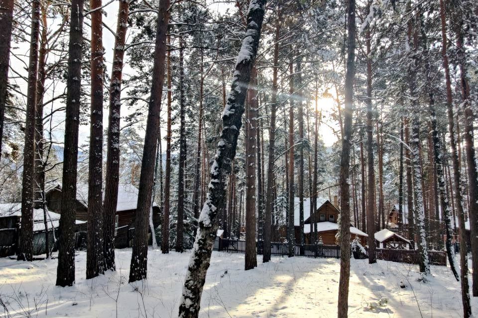 земля Красноярск городской округ, ДНП Южное, Лесная улица, 423з фото 9