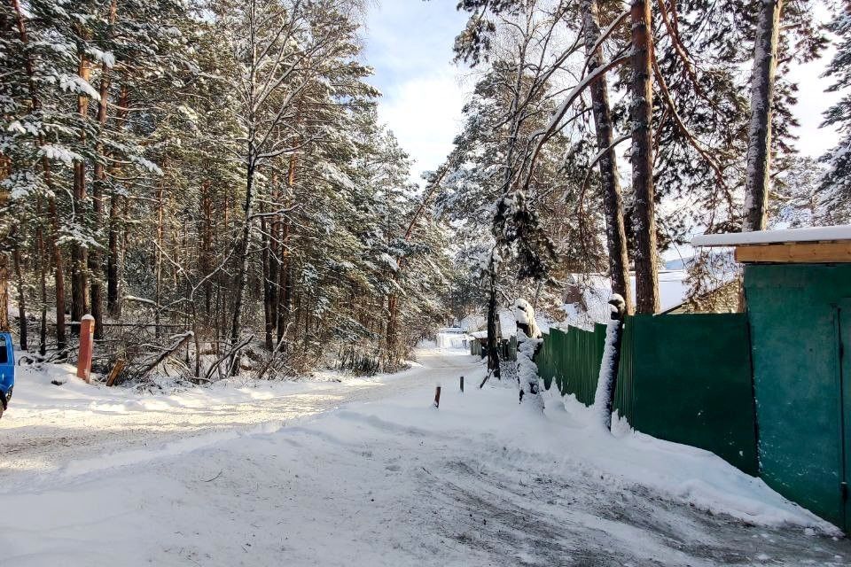 земля Красноярск городской округ, ДНП Южное, Лесная улица, 423з фото 10