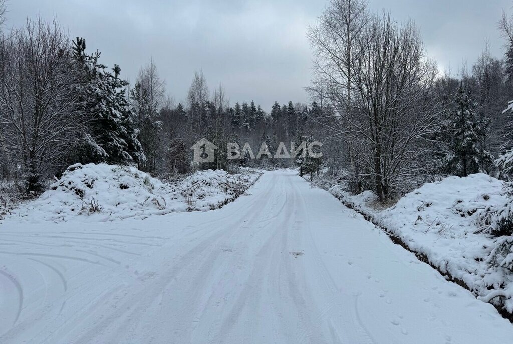 земля г Пушкино снт Нептун-1 городской округ Пушкинский фото 2