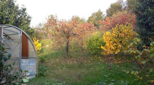 р-н Адлерский с Илларионовка р-н Адлерский с Калиновое Озеро ул. Котельная, 11 фото