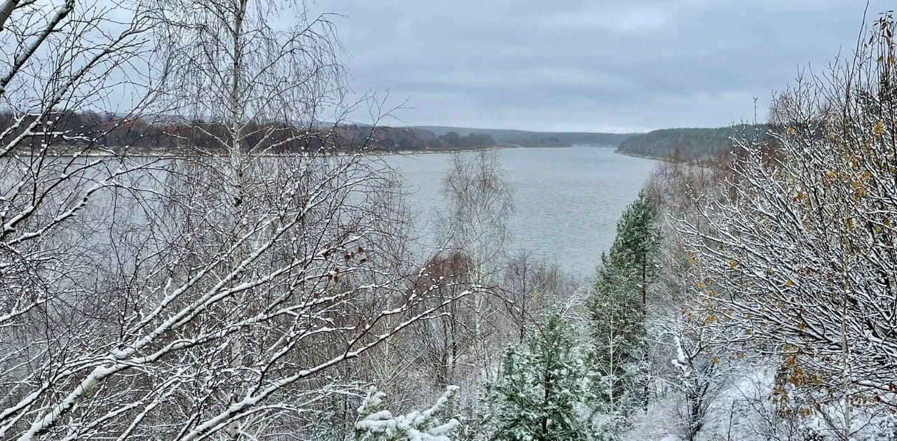 дом р-н Касимовский с Щербатовка ул Сиверка 43 Новодеревенское с/пос фото 16