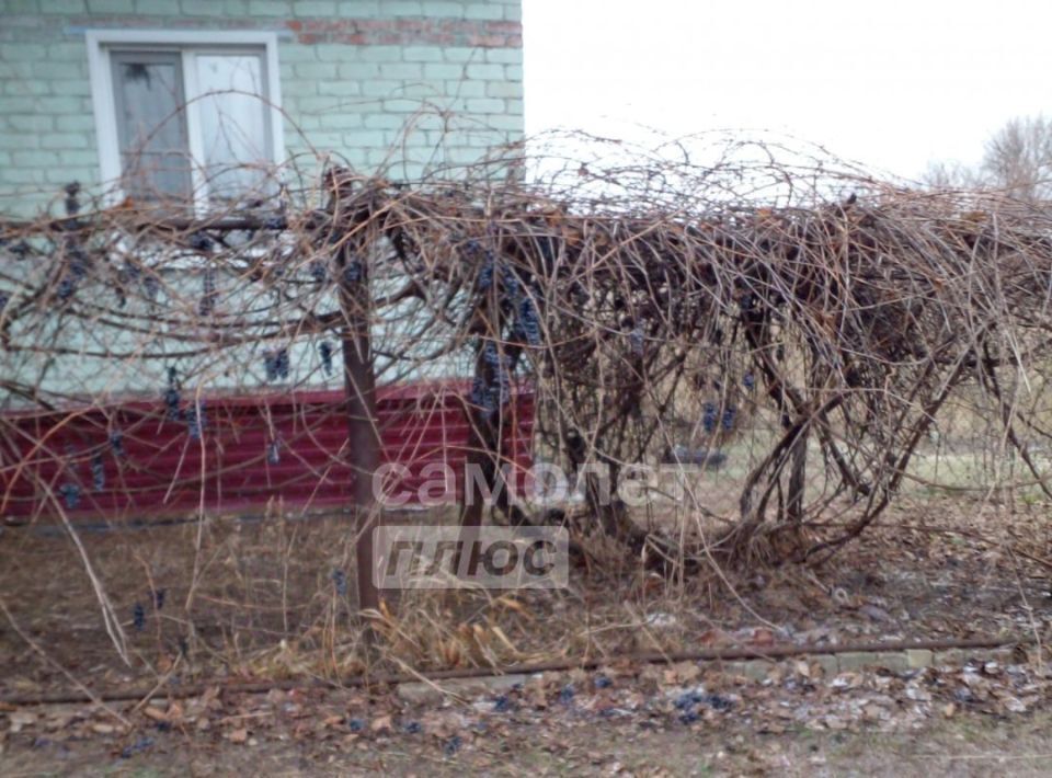 дом р-н Советский с Липовчик ул Дорожная сельсовет, Волжанский фото 19