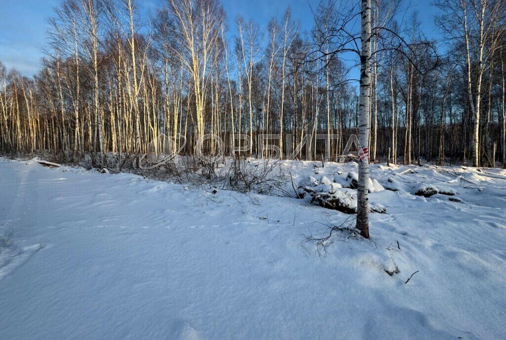 земля р-н Нижнетавдинский с Черноярка фото 1