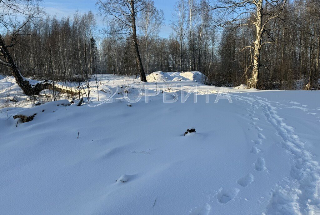 земля г Тюмень территория СОСН Лесная Поляна, Гвоздичная улица фото 2