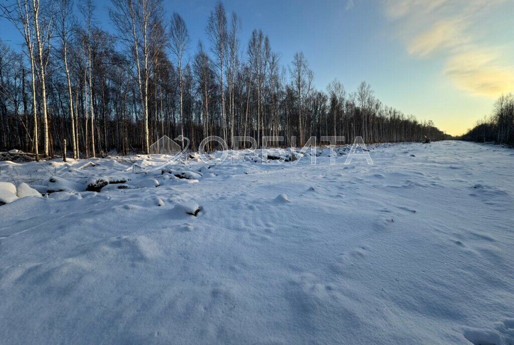 земля р-н Нижнетавдинский с Черноярка фото 2