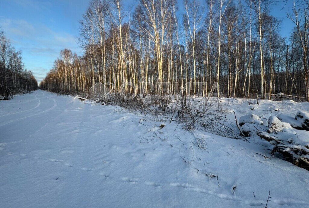 земля р-н Нижнетавдинский с Черноярка фото 3