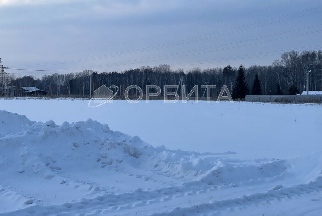 земля р-н Тюменский д Молчанова Новотарманское сельское поселение фото 5