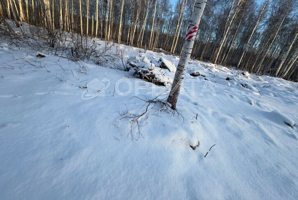 земля р-н Нижнетавдинский с Черноярка фото 5