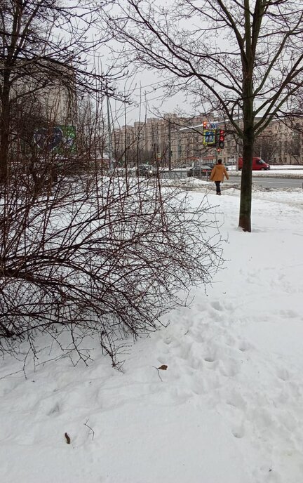 квартира г Санкт-Петербург метро Московская ул Варшавская 67 округ Новоизмайловское фото 18