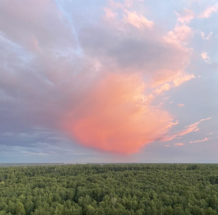 квартира г Челябинск р-н Центральный ул Академика Макеева 28 фото 14