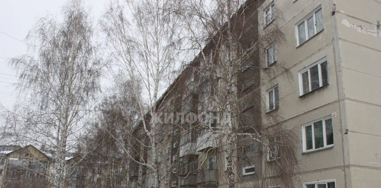 квартира г Новосибирск р-н Октябрьский Октябрьская ул Выборная 111 фото 9