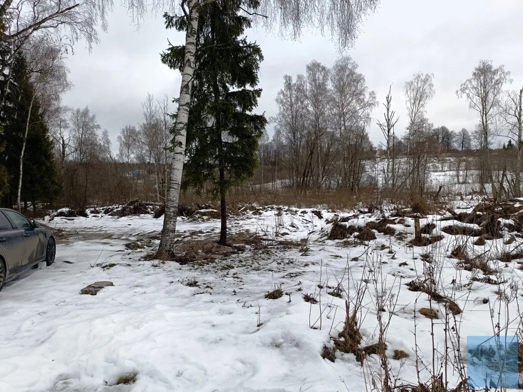 земля городской округ Солнечногорск д Клочково снт Клочково Ленинградское фото 5