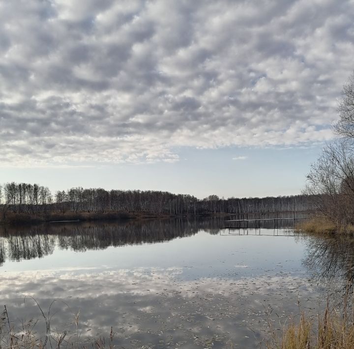 квартира р-н Мошковский п Радуга ул Ключевская 9 фото 6