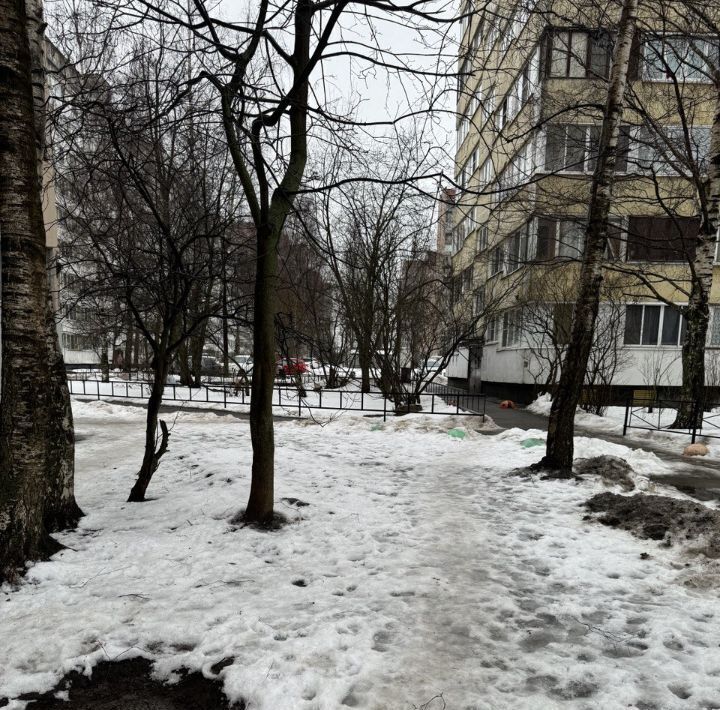 квартира г Санкт-Петербург метро Гражданский Проспект ул Демьяна Бедного 32к/1 округ Северный фото 21