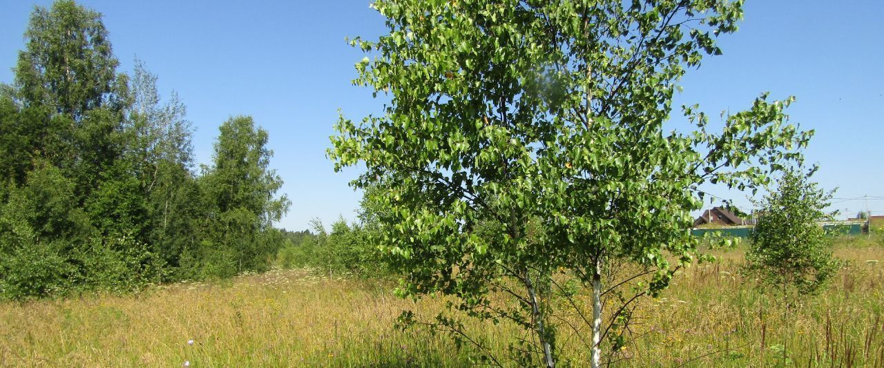 офис городской округ Рузский д Воскресенское фото 1