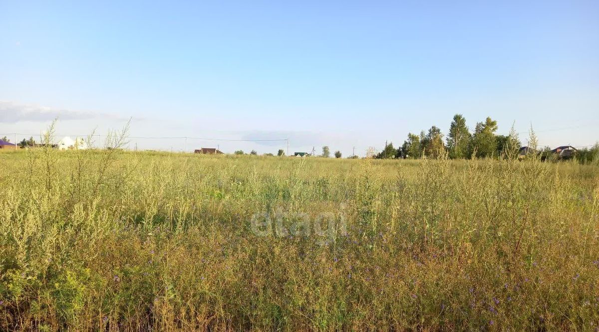 земля р-н Губкинский с Аверино ул Центральная фото 10