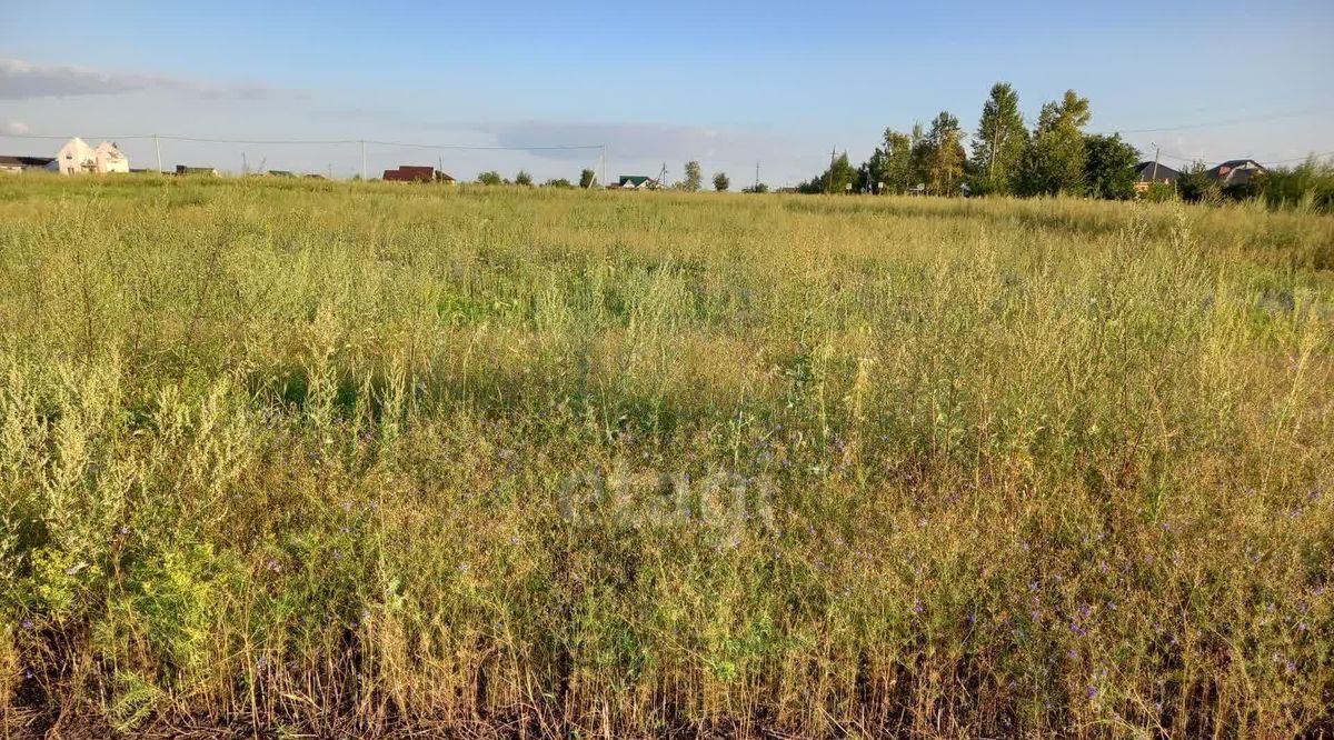 земля р-н Губкинский с Аверино ул Центральная фото 14