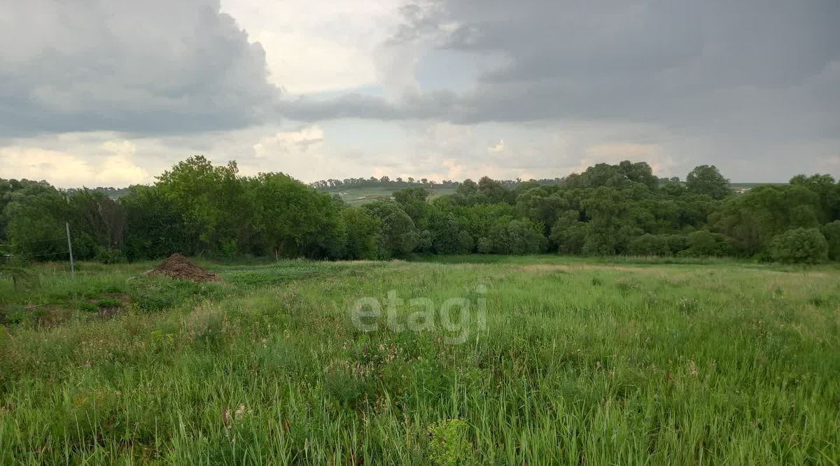 земля р-н Губкинский с Мелавое ул Центральная фото 5