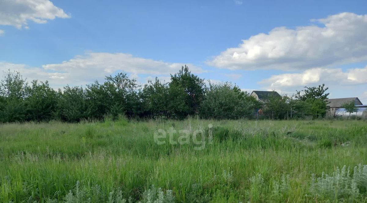 земля р-н Губкинский с Аверино ул Центральная фото 14