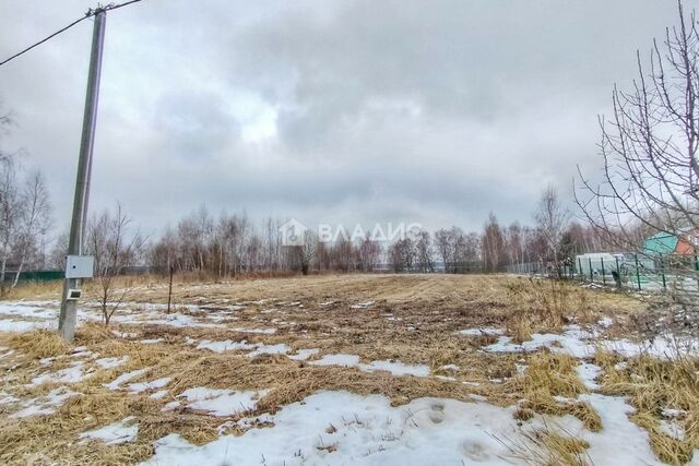 Коломна городской округ, д. Борисово фото